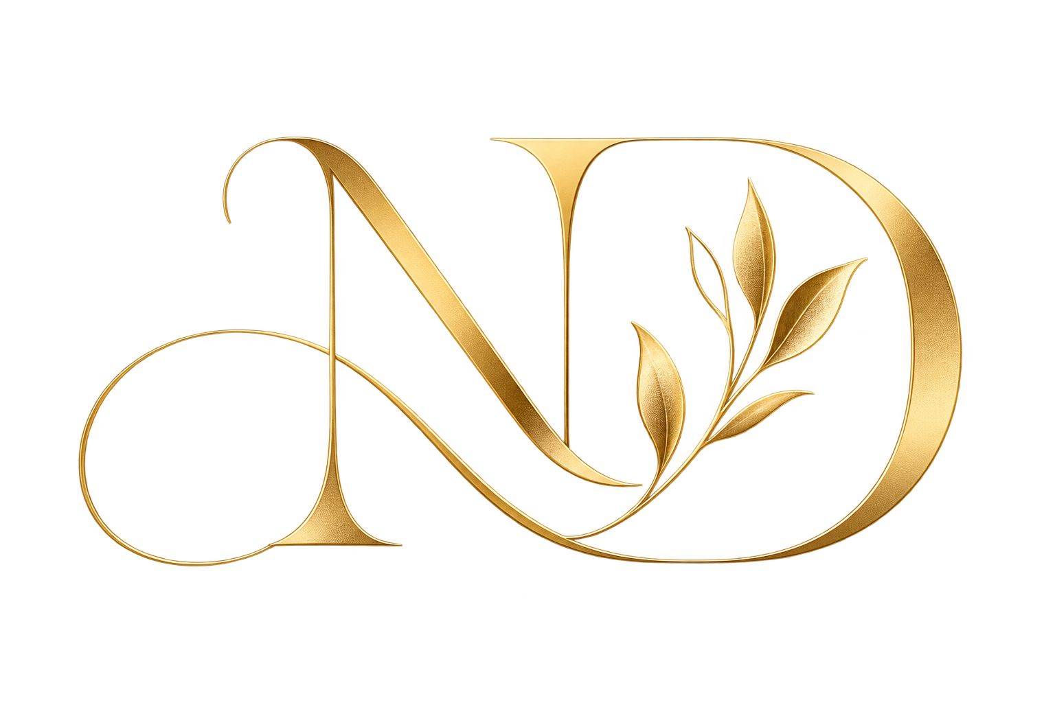 Logo Nadine Denis
